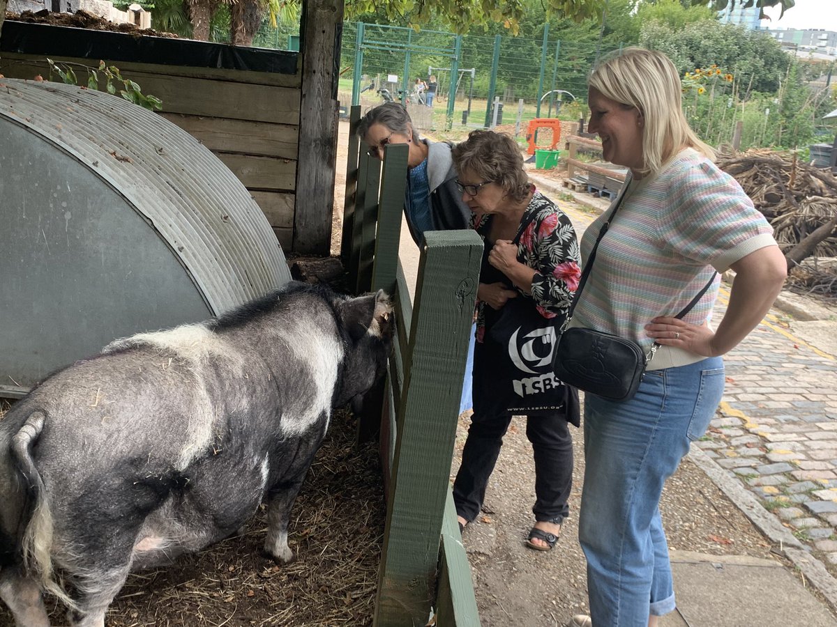 Great Education away day @spitz_cityfarm <a href="/LSBU/">London South Bank University - LSBU</a> <a href="/LSBU_LSS/">School of LSS</a>