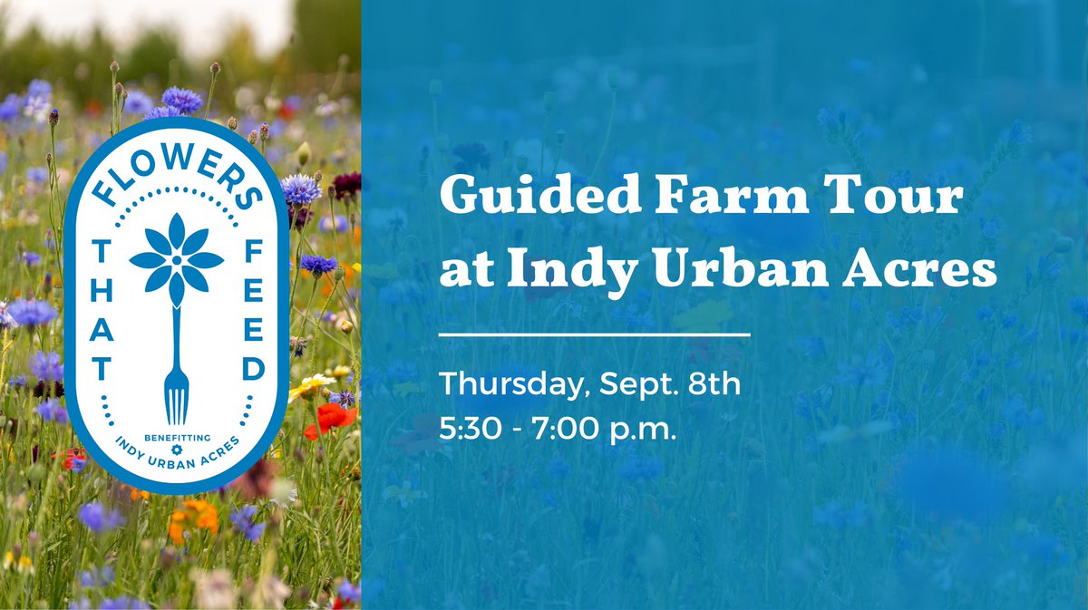 Indy Urban Acres (@indyurbanacres) on Twitter photo Join us at the main Indy Urban Acres farm site for our next #FlowersThatFeed floral arrangement class Sept 8th with <a href="/8thdaydistiller/">8th Day Distillery</a>
Ticket purchases support Indy residents' access to fresh and healthy produce. Get tickets - bit.ly/3Ci2RhK Join us at the main Indy Urban Acres farm site for our next #FlowersThatFeed floral arrangement class Sept 8th with <a href="/8thdaydistiller/">8th Day Distillery</a>
Ticket purchases support Indy residents' access to fresh and healthy produce. Get tickets - bit.ly/3Ci2RhK