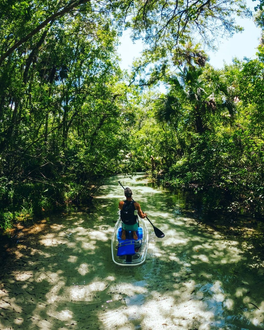 VISITFLORIDA's tweet photo. Come explore Florida’s natural side 🌱

Hike #RainbowRiver gardens, paddle under the cypress trees, stay overnight at the campground, and much more ✨ #LoveFL

📸 IG: ecoventurefl
📍: Rainbow River https://t.co/JG8LZeWOjI