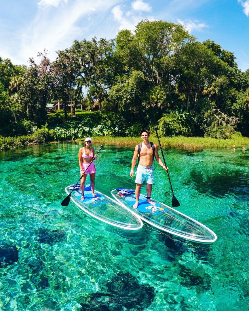 VISITFLORIDA's tweet photo. Come explore Florida’s natural side 🌱

Hike #RainbowRiver gardens, paddle under the cypress trees, stay overnight at the campground, and much more ✨ #LoveFL

📸 IG: ecoventurefl
📍: Rainbow River https://t.co/JG8LZeWOjI