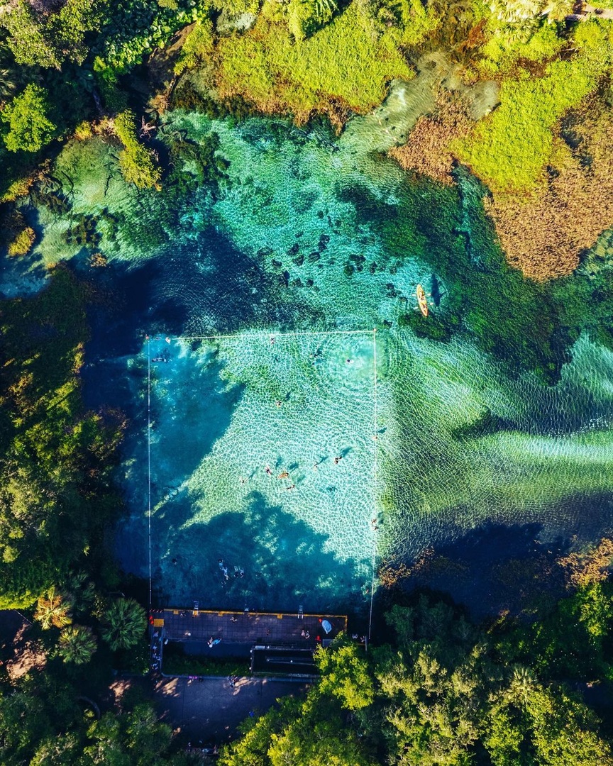 VISITFLORIDA's tweet photo. Come explore Florida’s natural side 🌱

Hike #RainbowRiver gardens, paddle under the cypress trees, stay overnight at the campground, and much more ✨ #LoveFL

📸 IG: ecoventurefl
📍: Rainbow River https://t.co/JG8LZeWOjI