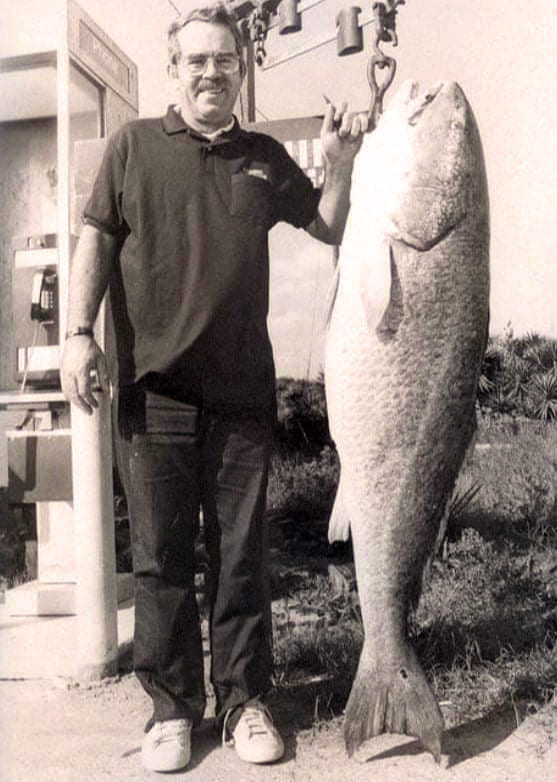 KastKingUSA's tweet photo. #TBT to 1984, when David Deuel set the IGFA All-Tackle and Menโs (50 lb) Line Class World Record with this massive red drum. Deuel was surf fishing from the beach in NC, when the 94.2 lb record fish struck the cut mullet he was using for bait.
#KastKing #FishStrong https://t.co/NjF2lMB0Dz