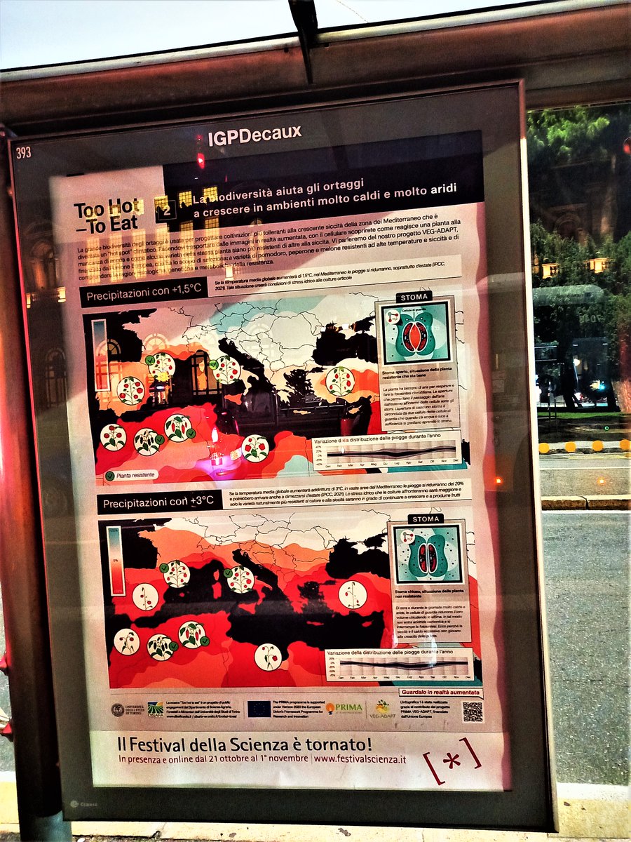 vegadapt's tweet photo. Around the beautiful city of Genova (Italy)!
VEG-ADAPT  was present in the streets of Genova to join  the Italian National Festival of Science on October 11-23th 2021.
An infographic titled "TOO HOT TO EAT" was created using augmented reality showing the aims of the project. https://t.co/pDlH6YEMWF