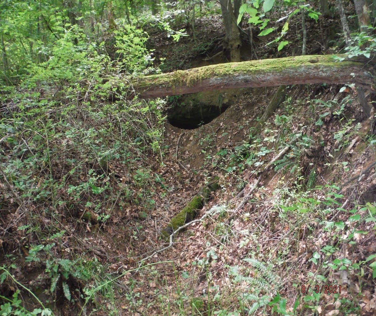 Virginia_Energy's tweet photo. A #VirginiaEnergy Abandoned Mine Land project closed several dangerous mine openings in Coeburn, Virginia. Read more: https://t.co/2dJBieBdEe
@OSMRE #ourworksnotdone https://t.co/1dbpt7O8dR