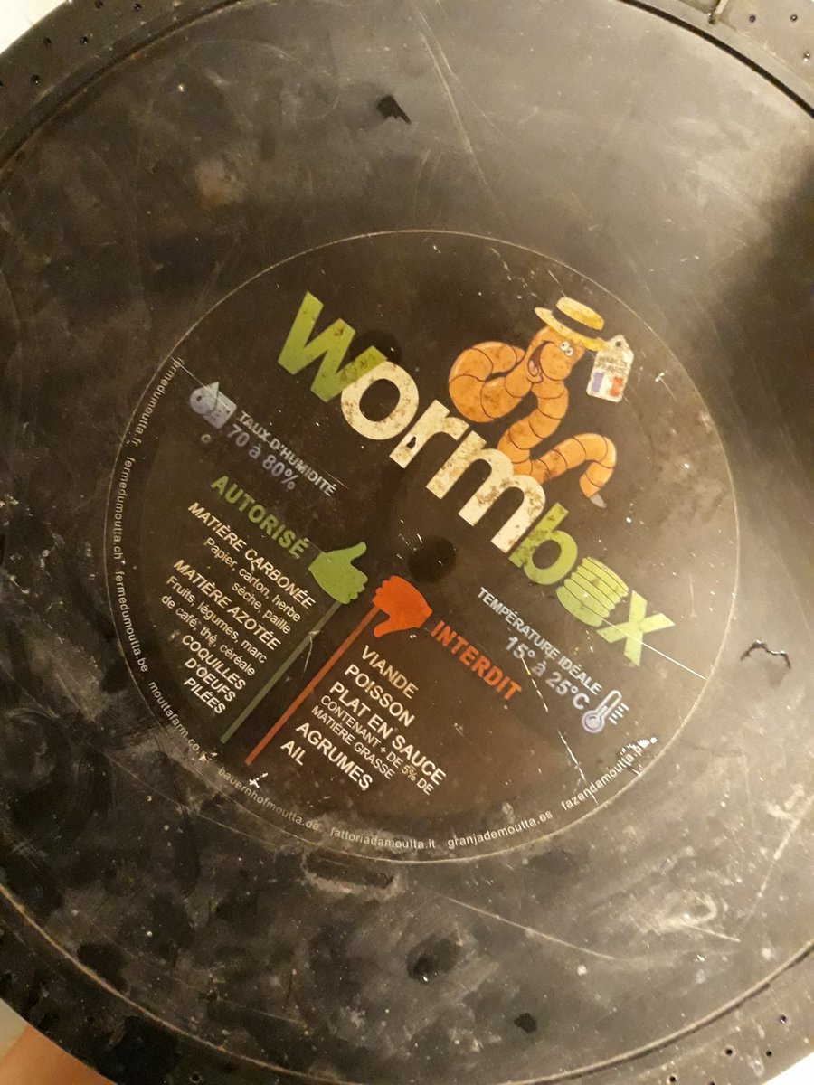 EloDesroziers's tweet photo. Et on se lance dans le #lombricompostage 🤞Nos petits vers sont arrivés aujourd'hui on vient de les installer dans la #wormbox ...update dans quelques jours et dans 9 mois pour notre première récolte de #lombricompost 🤗 @LeLombricompost des conseils ? https://t.co/TTbBc9Dnhl