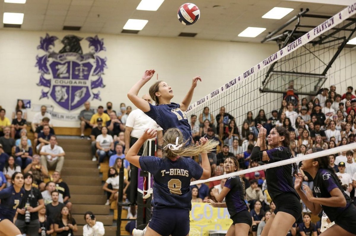 ELPASO_ISD's tweet photo. Volleyball in action! π
Check out the awesome shots from the @coronado_high vs @FranklinCougars volleyball game. #GoEPISD #EPISDProud
πΈ CoolEdgePhoto https://t.co/2riqaZ3Jey