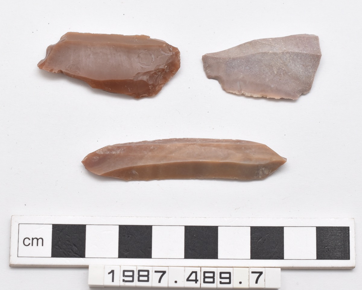 MAACambridge's tweet photo. 4 weeks. 3,550 catalogue records. 20,000 objects. 

The #MAAStoresMove Team has officially finished processing MAA’s collection of flint tools from the site of Jericho, excavated by Kathleen Kenyon from 1952-1958! 🎊🎉

They are all available to view on the online database. https://t.co/OrSY4exAaf