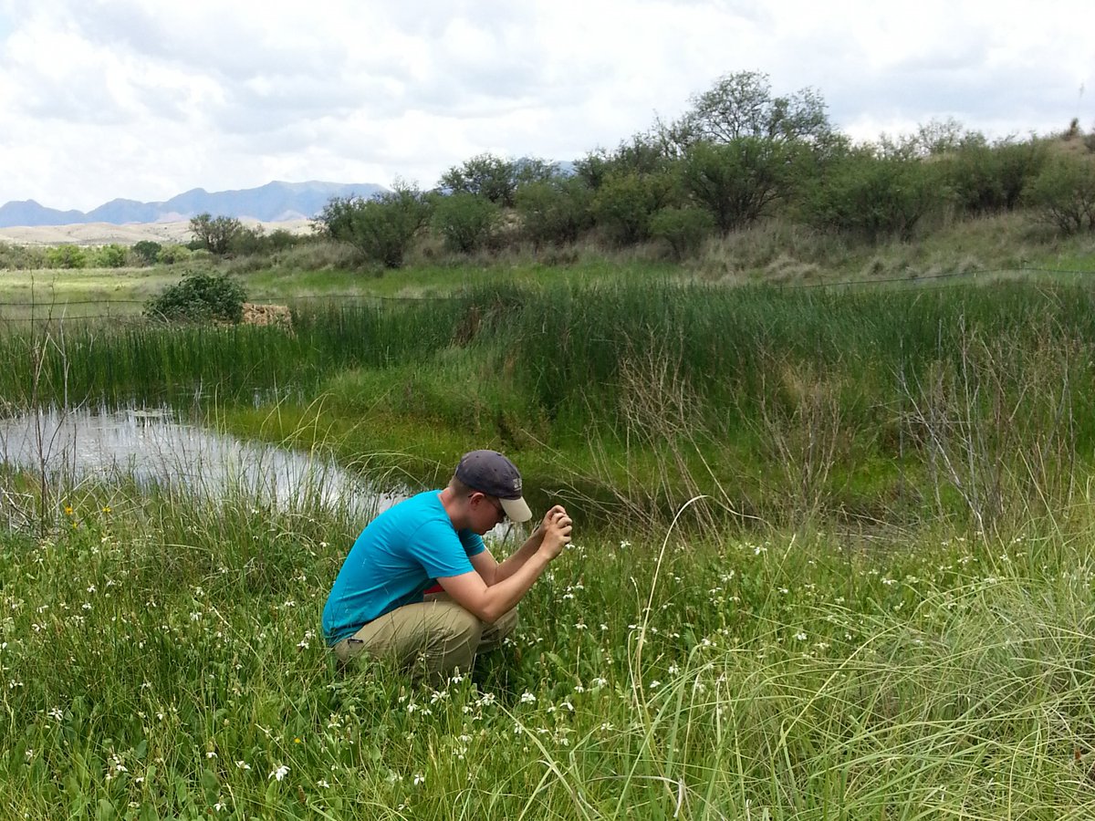 USGS_WGSC's tweet photo. #StaffSpotlight: Natalie R. Wilson joined the WGSC in 2014 as a student contractor after 10+ years of seasonal biological #FieldWork. She continued as a #PathwaysIntern and was hired in 2020 to research #Vegetation response to #WatershedRestoration in #Aridlands ๐๐ง๐๏ธ https://t.co/rk6N9hzVJC