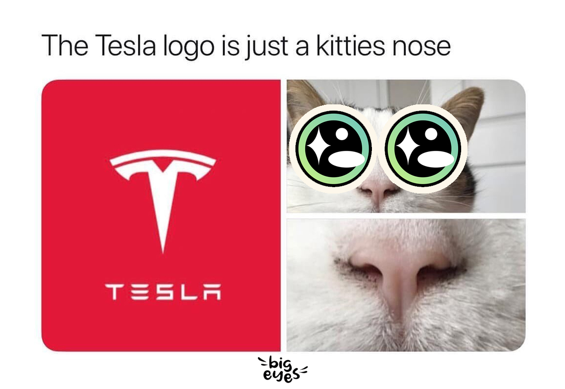 BigEyesCoin's tweet photo. We knew you secretly loved us @elonmusk😻

Join the cute: https://t.co/yfv7QTW4Ie https://t.co/f1fEtnI1Wn