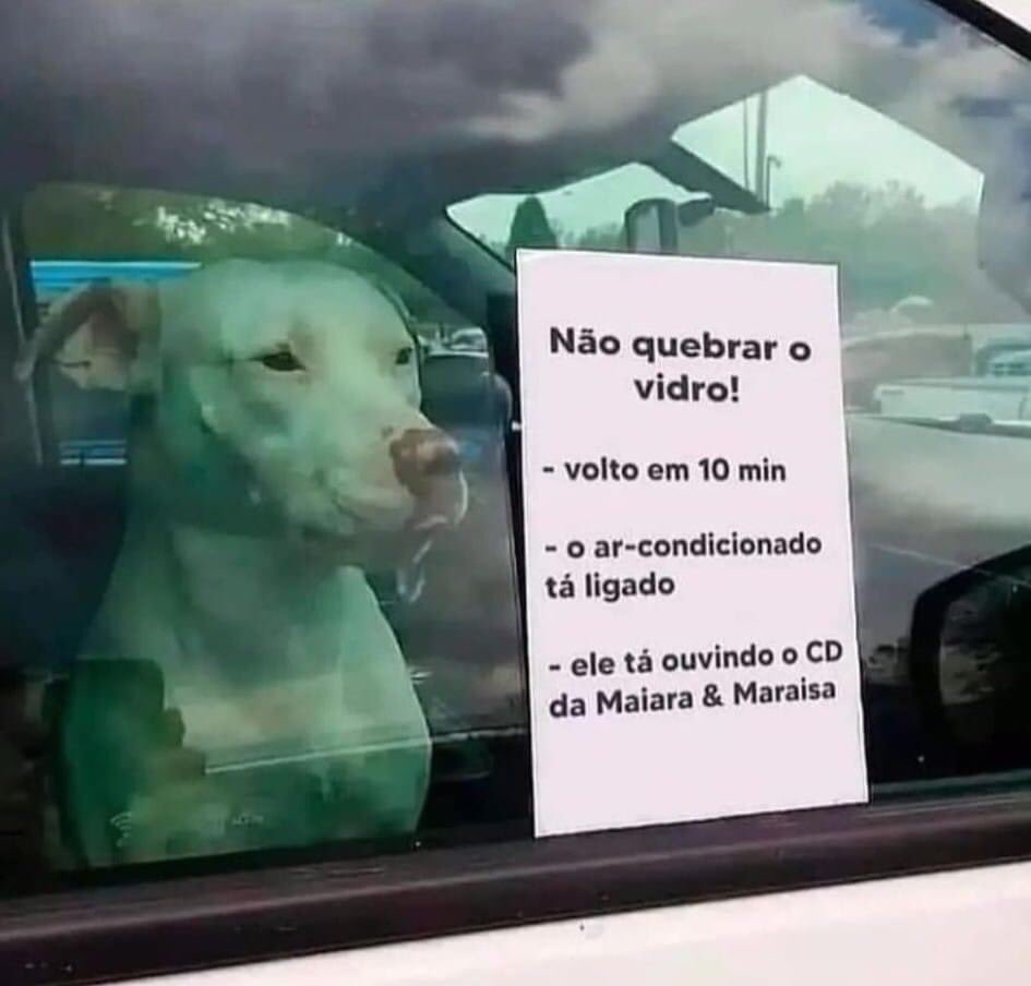 thascordeiro's tweet photo. Corre aqui kkkkkk @Maraisa @MaiaraMeM @Brunomarcz @MaiaraeMaraisa 🥰🫠🐶 https://t.co/9gDX8U90zf