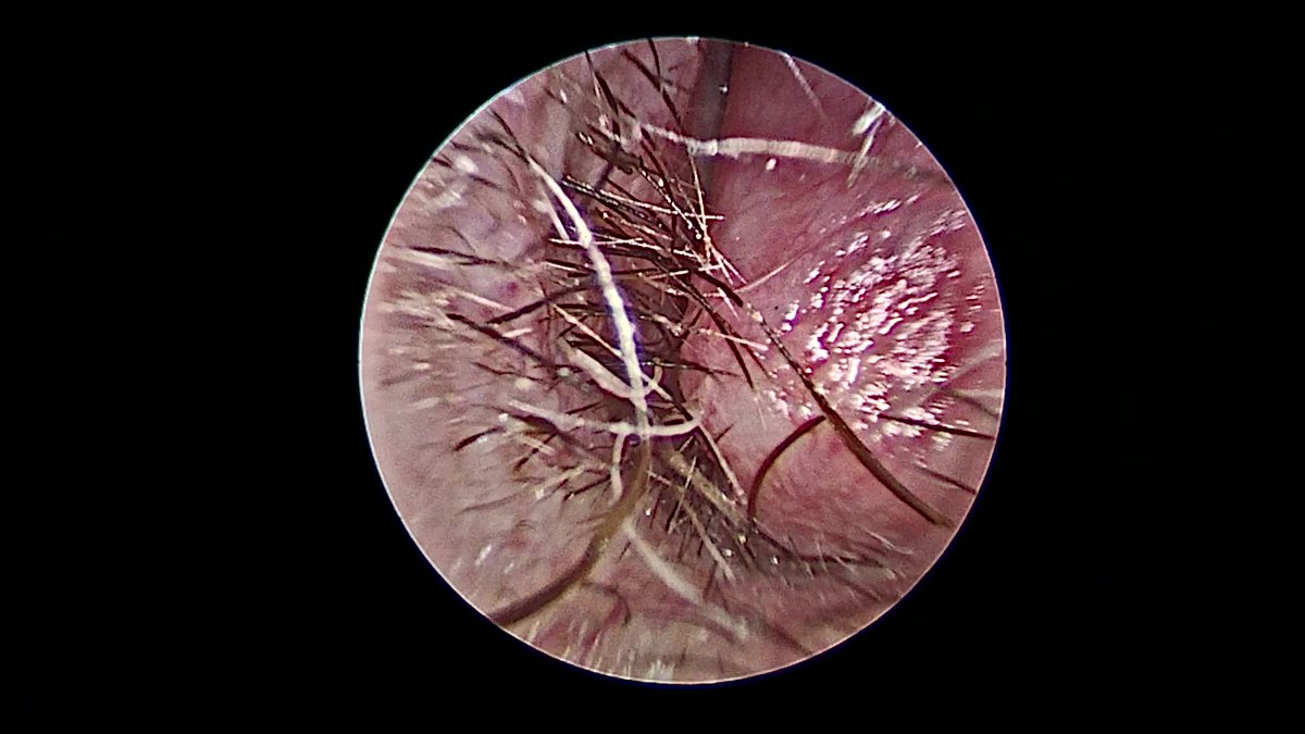 John Craig, MD tweet media