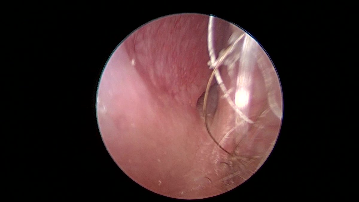 John Craig, MD tweet media