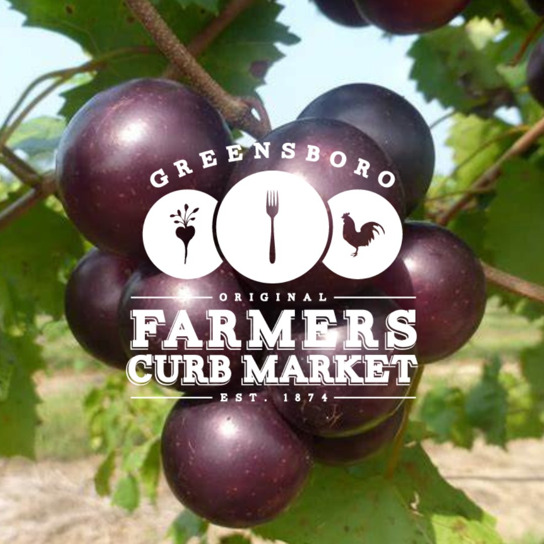 Summer Fades Into Fall - mailchi.mp/gsofarmersmark…