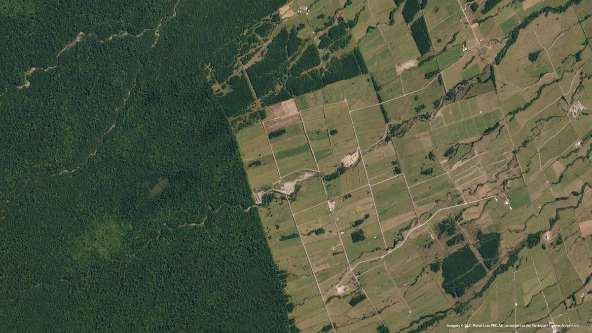gfoi_forest's tweet photo. Register NOW for the #highresforforests Webinar Series
🛰🌎🌳
English🗓️06/09 🕘09:00 CEST https://t.co/ihsKOyuErU
French🗓️07/09 🕒 15:00 CEST https://t.co/k48vpIOnLI
Spanish🗓️08/09🕧 18:00 CEST https://t.co/z2dlXf1EDJ
@Climateforest @KSAT_Kongsberg
@planet @AirbusSpace https://t.co/xfrDCvEq7U