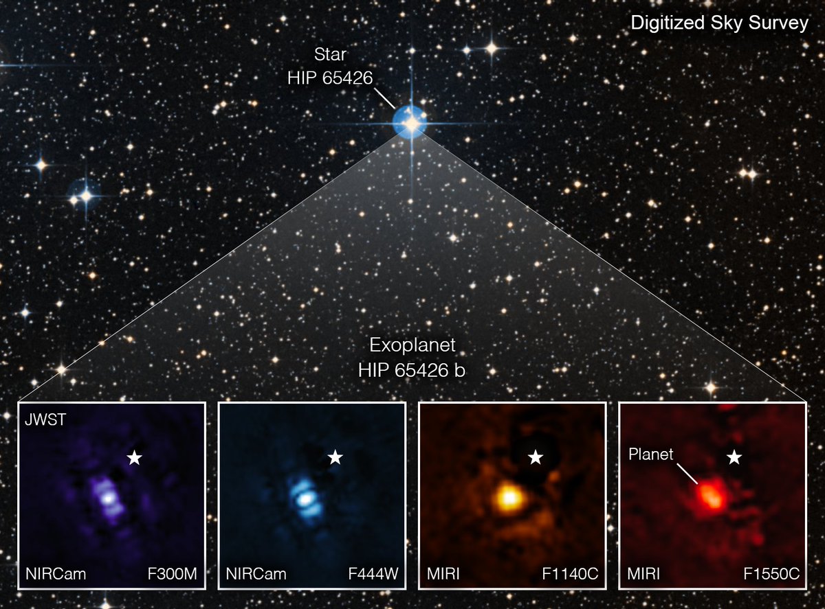 NASAExoplanets's tweet photo. 355 light-years away, an exoplanet orbits far enough from its star that @NASAWebb was able to get an image. Four of them, in fact, through four different instruments! These beautiful blobs of light show a world more massive than Jupiter. They're gorgeous!  https://t.co/edLj7A6r2C https://t.co/fh8JQEbSxS