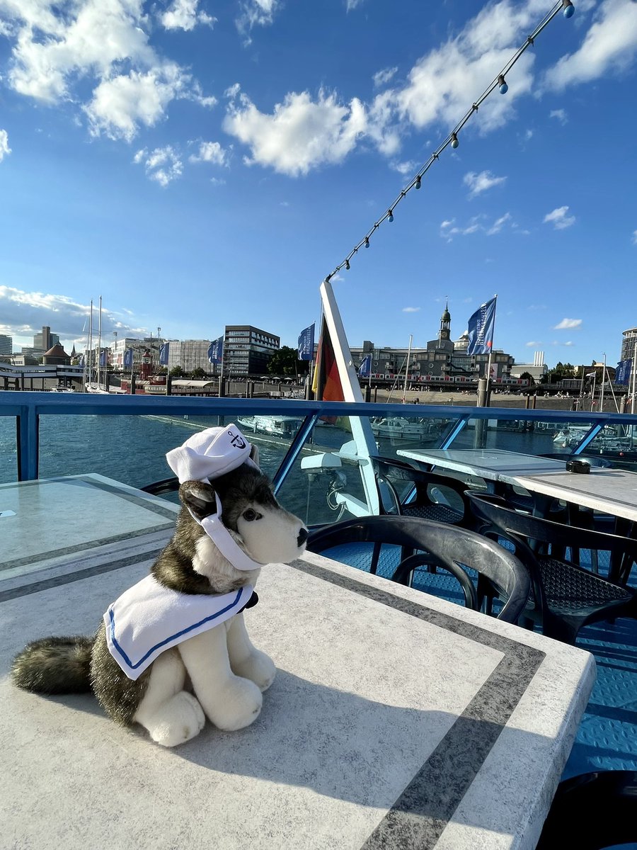 OpenLibraryFdn's tweet photo. Wolfie cannot wait to welcome everyone to the evening boat reception at #wolfcon22! https://t.co/RmBvfmn1Sz
