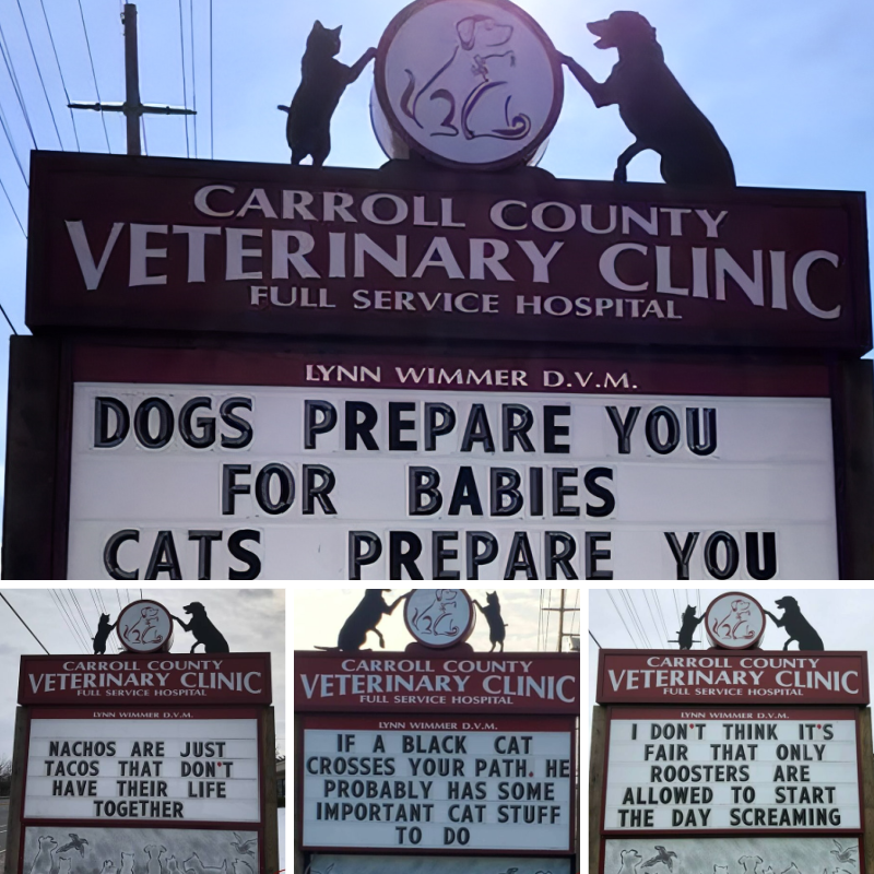 TheFunPost1's tweet photo. If our pets could read they'd probably also have a much better time going into this clinic 😊