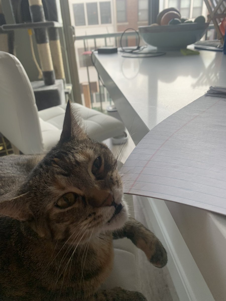 kuathekitty's tweet photo. yomy papor ! https://t.co/z5KYyERym0