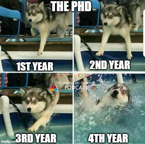 TheStrugglingS4's tweet photo. Graphical abstract of the PhD life cycle 

@OpenAcademics @AcademicChatter #AcademicTwitter https://t.co/1UmGu9ArRu