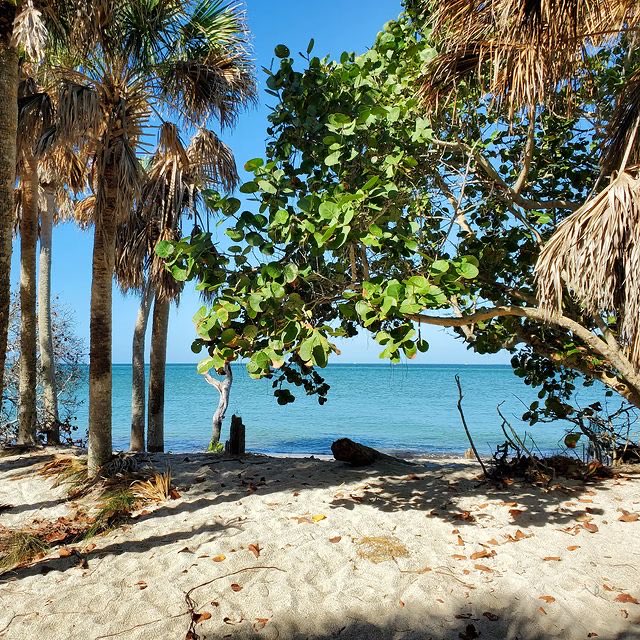 FLStateParksFdn's tweet photo. Camping at Cayo Costa removes the distractions of modern life and gives you the chance to relax and unwind. Read more: https://t.co/kJR5n77Tb4
IG: @joshua.ramey
At Cayo Costa State Park
#FloridaStateParks #FloridaStateParksFoundation #FlStateParksFdn @TheTravel_com_ https://t.co/Izv4J4WOEa