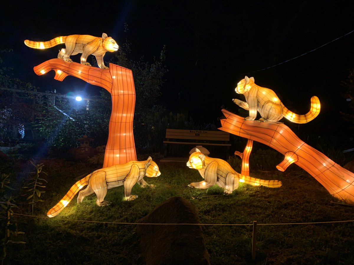 We had a personal "site visit" last night to <a href="/rossparkzoo/">Ross Park Zoo</a> to see their spectacular Illumination for Conservation lantern show. Wow! Do not miss this. It's open evenings at 8pm through October.