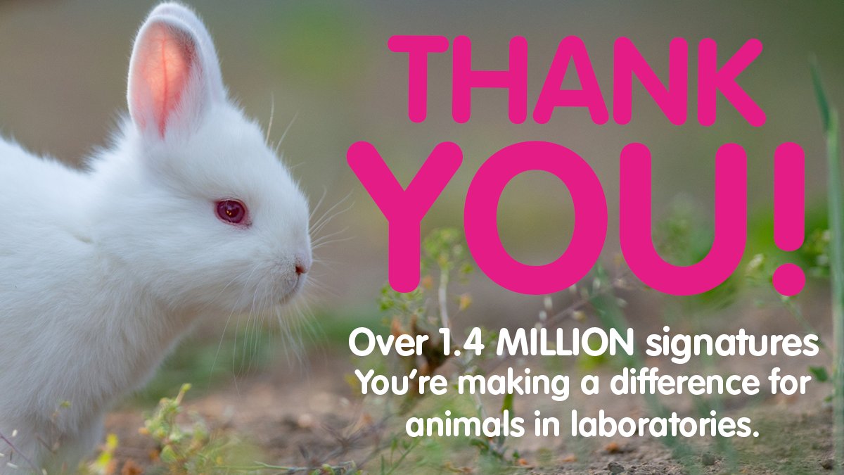 Cruelty Free Europe on Twitter: Cruelty Free Europe on Twitter: