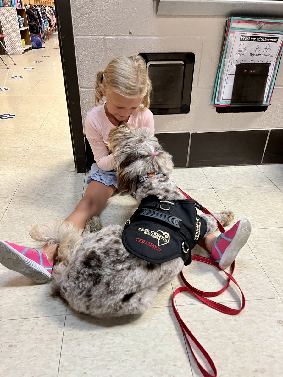 SouthGreenElem's tweet photo. Winnie came and visited our Scotties today! ππΆ #findingourgift #seekgrowexpress #growingandlearningtogether https://t.co/PVJDLAXVrn
