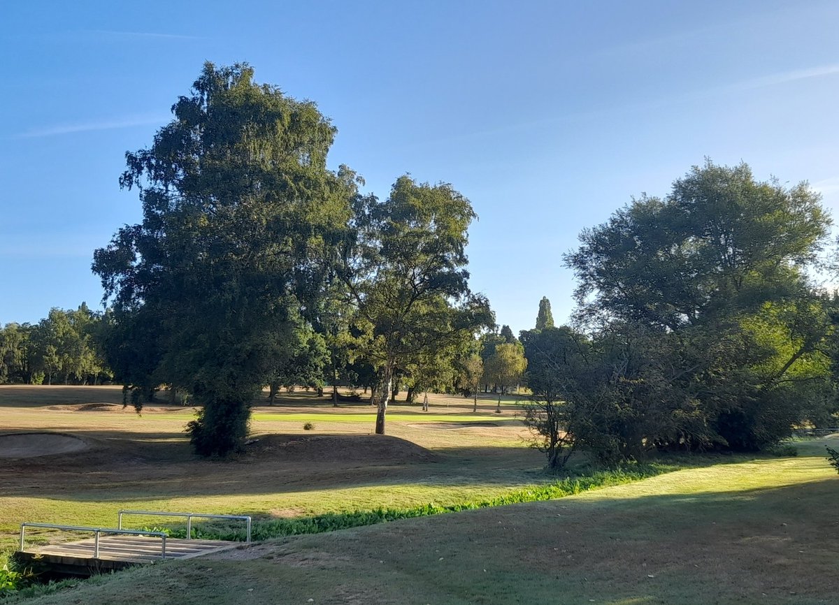 HasteHillGC's tweet photo. Congratulations to Beryl Herlihy for winning the Rose Bowl on August 11th. Beryl hit 2 pars and 4 bogeys on her way to an impressive 40 pts. #hastehillgc #northwood #golf #golfcourse #golfclub #golflife #middlesexgolf #londongolf #golfhillingdon #ladiesgolf #nature #woodland https://t.co/jKVgv99GLk