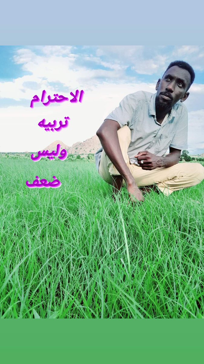 الطبيعة في أبها 🖼
