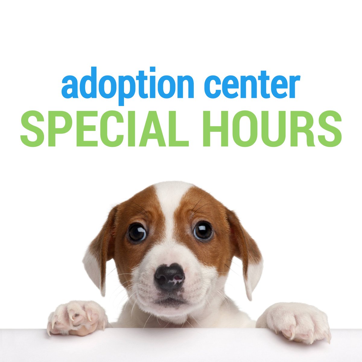 The Adoption Center will be closed on Labor Day - enjoy your long weekend!