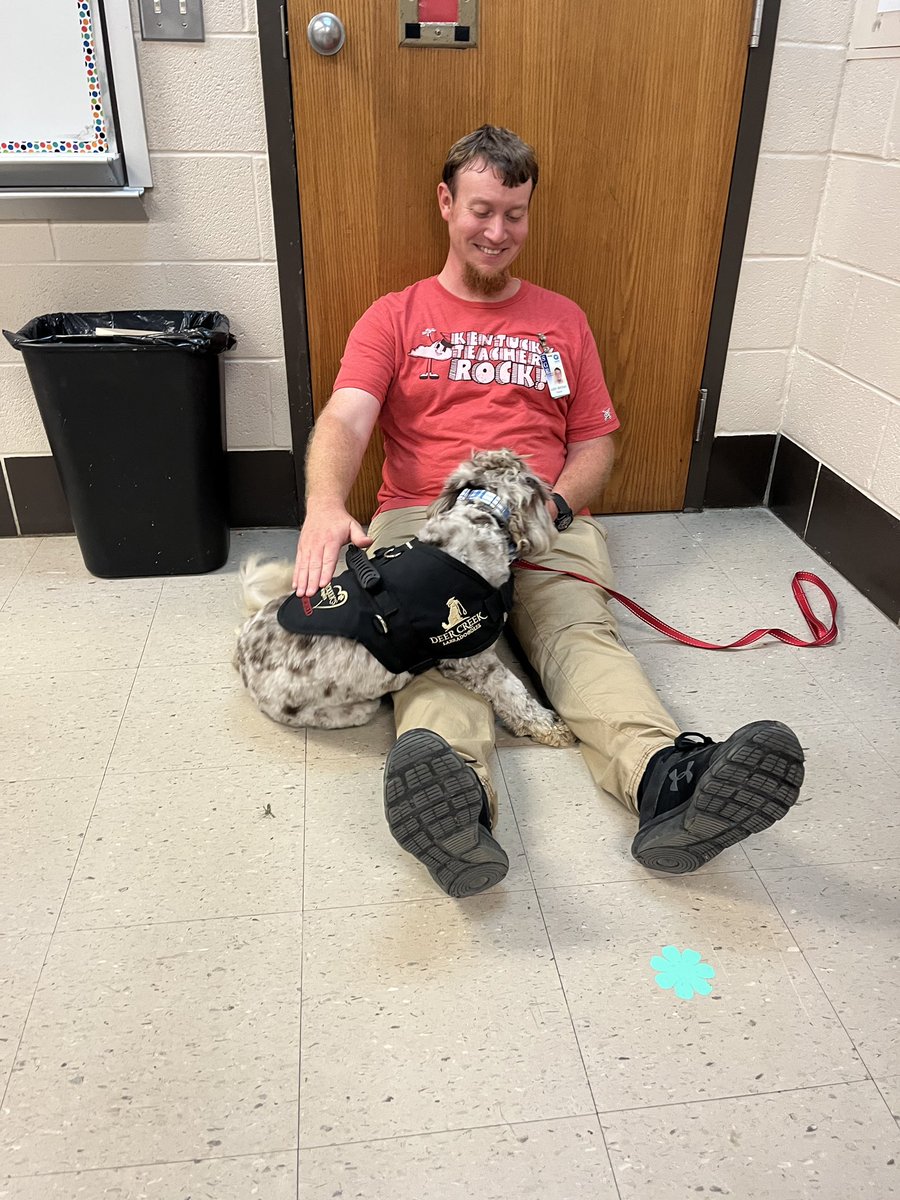SouthGreenElem's tweet photo. Even our teachers got to enjoy some time with Winnie! ππΆ #findingourgift #seekgrowexpress #growingandlearningtogether https://t.co/XGZfrOg3WY