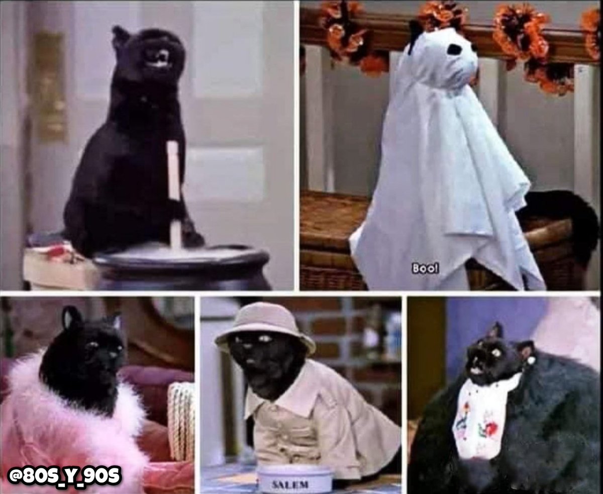80s_y_90s's tweet photo. Yo veía “Sabrina la bruja adolescente” por una sola razón: https://t.co/Eemf5yRMkO