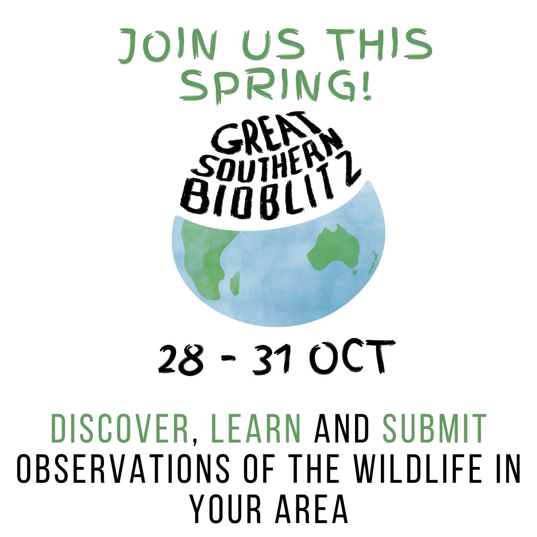 CREWCitSciZA's tweet photo. The anticipated Great Southern Bioblitz is back again with more southern Africa cities and countries taking part this year.  #GSB2022 #GSB22 #southernAfrica #SouthernAfricabiodiversity #Citizenscience #Citizenscientists https://t.co/0lTD3U0B5Y