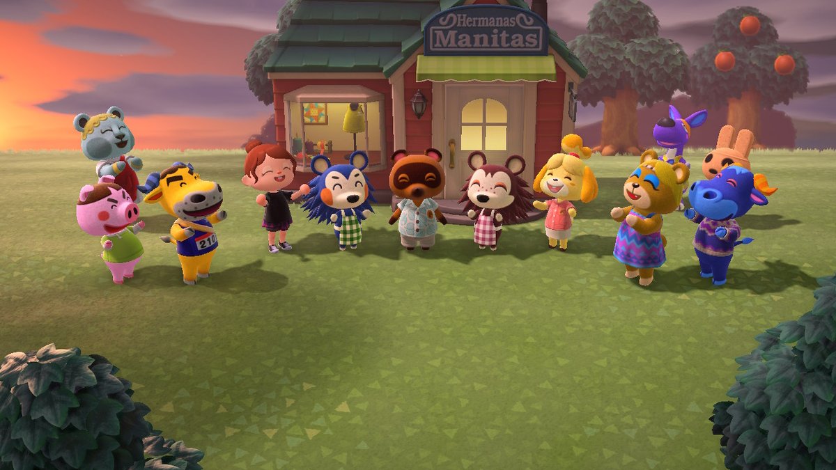 Ya las tenemos aquiii #AnimalCrossing #ACNH #NintendoSwitch
