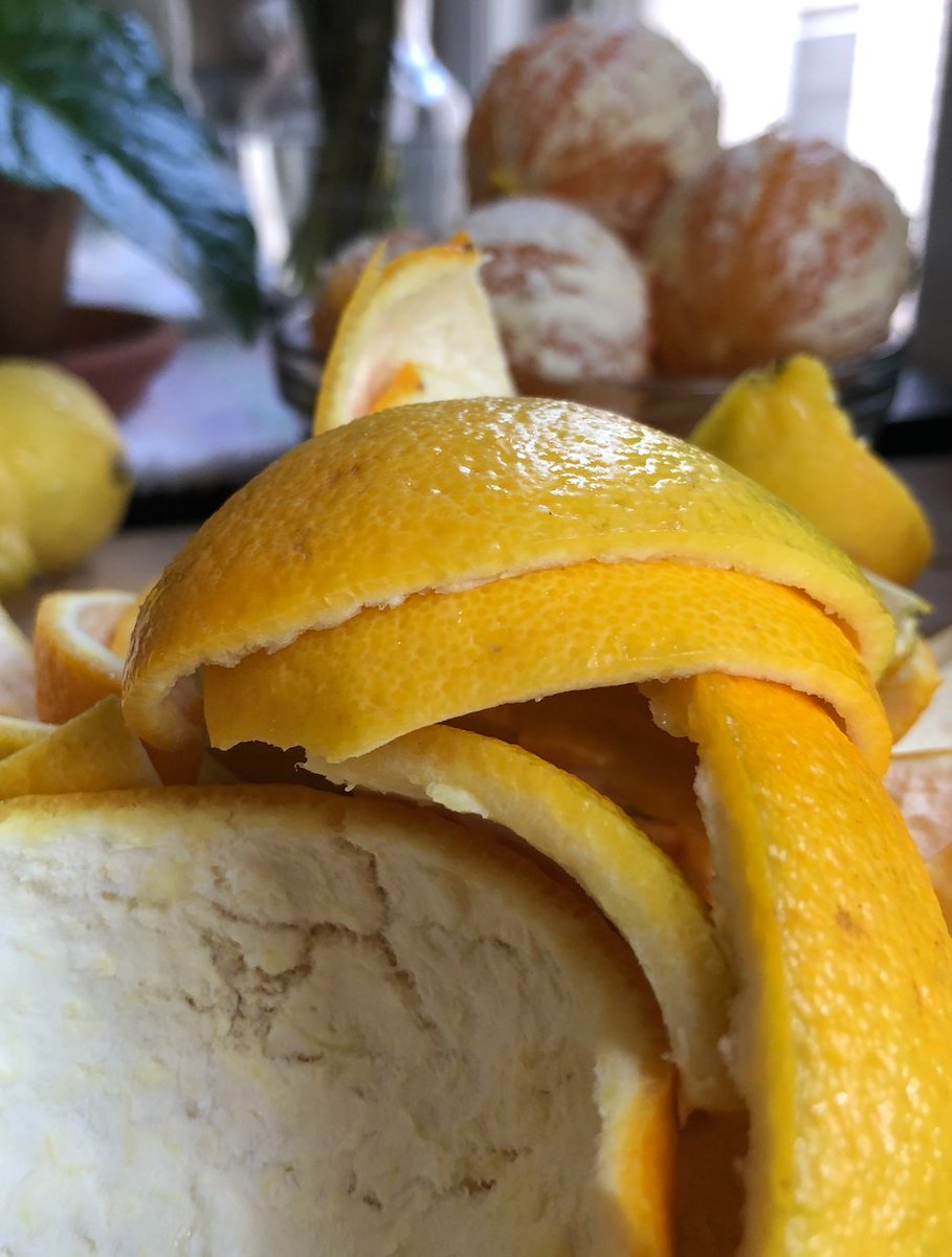 WildChildChoc's tweet image. Lemons, limes, oranges oh my! Candy week is in full swing and here I go. Wash, peel, trim, blanch, blanch, blanch, blanch.
:
#candyweek #candy #candymaking #wild #child #chocolate #lemon #lime #orange #organic #organicfood #advenure #wildchildchocolate #somervillema
