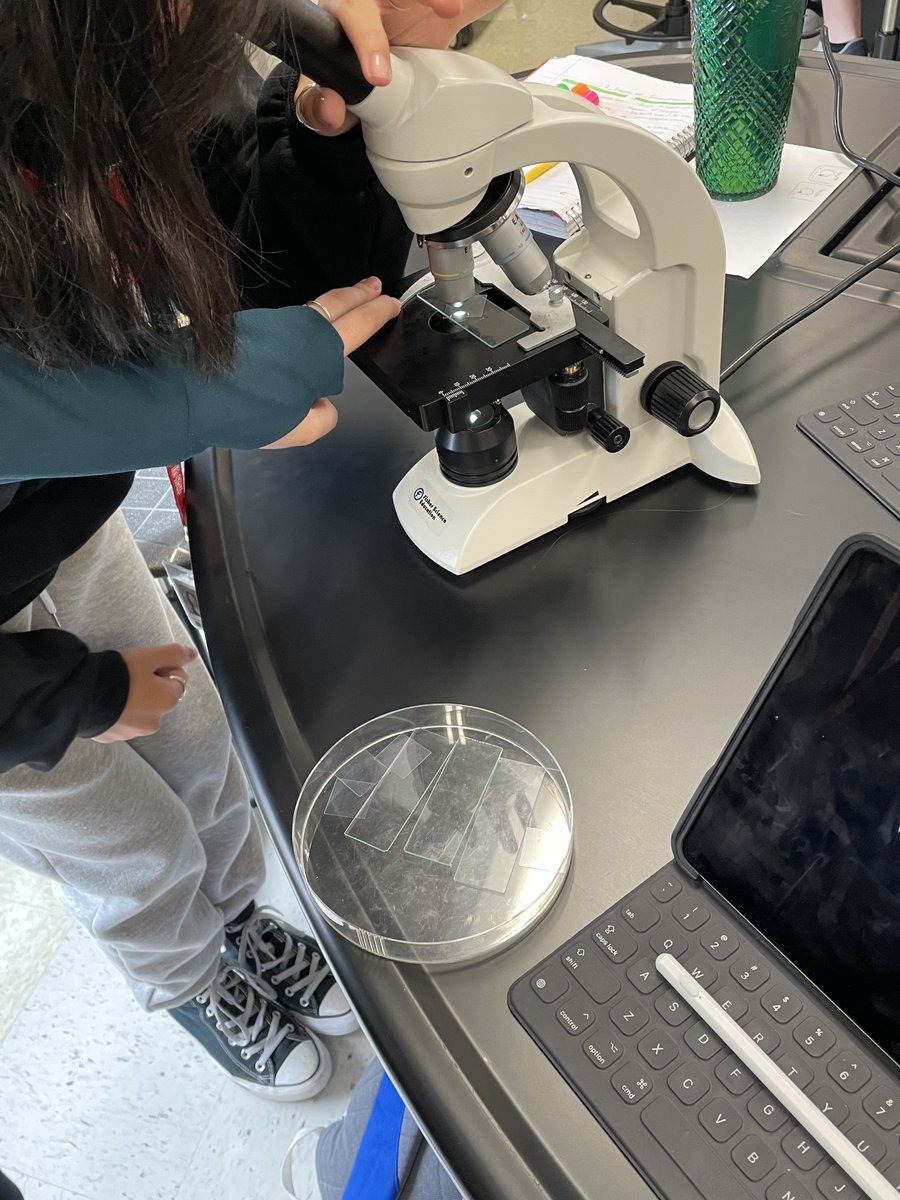 MarcusMrsD's tweet photo. The students demonstrated the effect of salt water on the plant cells by applying the principles of cellular transport. Great job with their skills of mounting the samples and investigating. @MHS9th https://t.co/NNtt5778ni