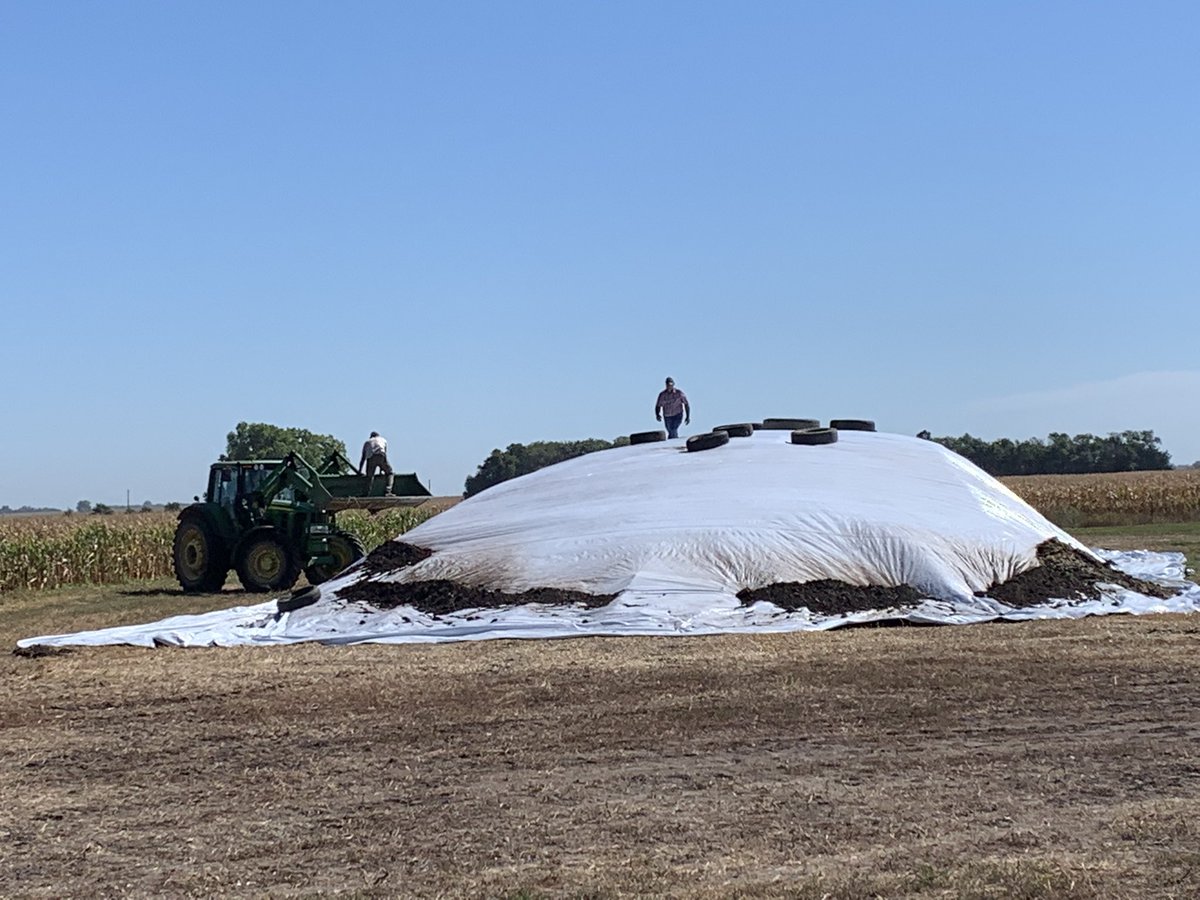 GreenwayPork's tweet photo. The guys got the second silage pile covered this morning. 
#beeffood #feedercalves https://t.co/LFdBAvHWpx