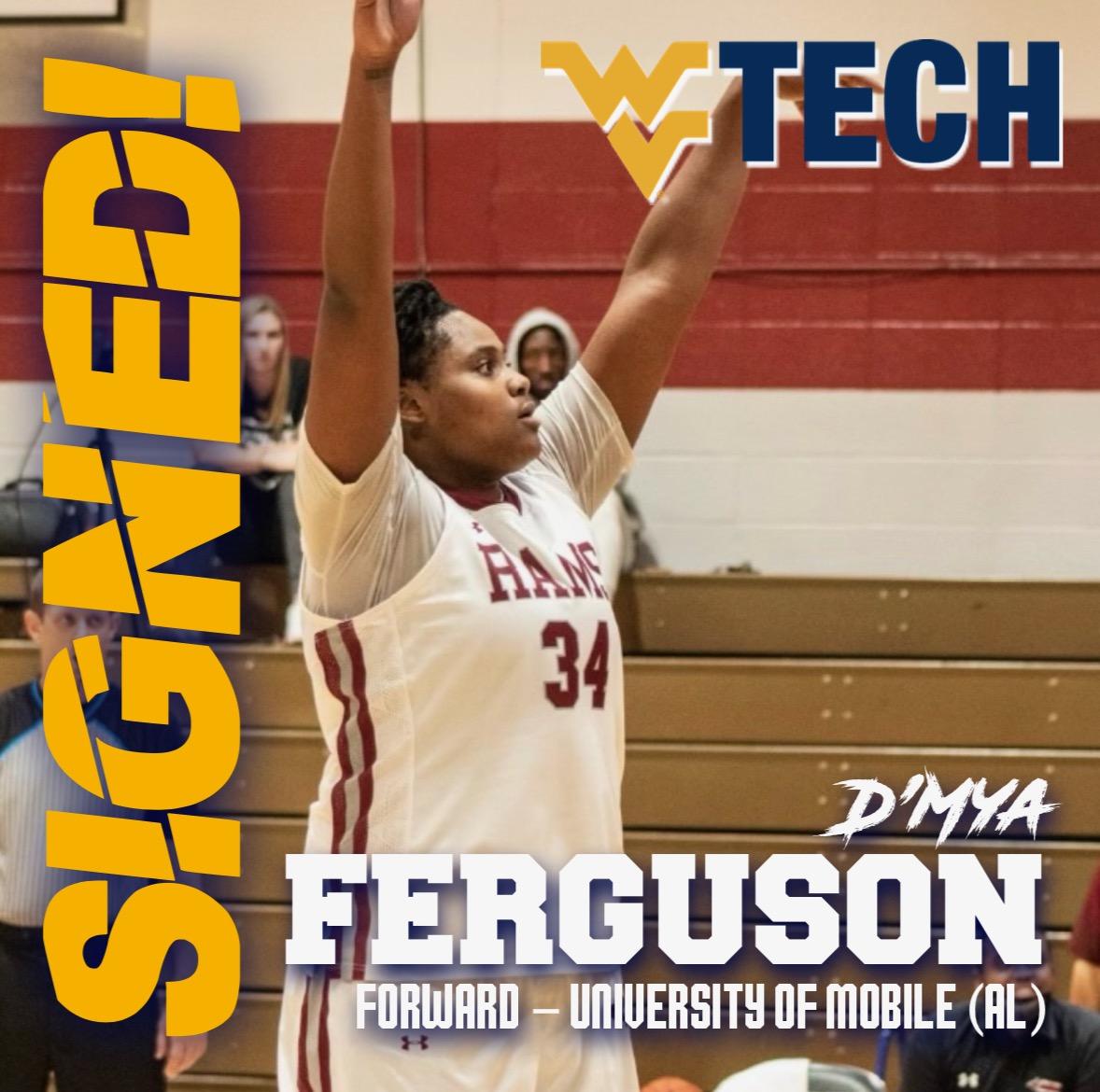 WVUTech_WBB's tweet photo. Please help us in welcome D'mya Ferguson to Golden Bear Women's Basketball. Learn about D'mya in the press release below.  @CoachAshB @DMyaFerguson @gfauber5 @WVVASPORTS @WOAYSports @59SportsZone @KeithMorehouse @wvutechsports @WVU_Tech @WVUTechAD @TJack94 @rusman1981 @Rogerhodge https://t.co/tTBvFgQvFb