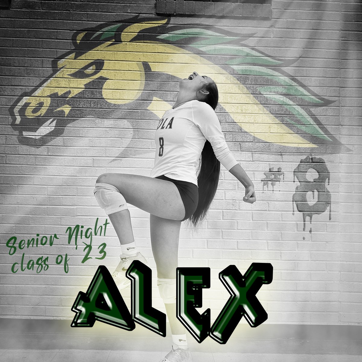 VolleyballOla's tweet photo. SENIORS: AlexWingate (Outside Hitter) and Jordan Beamon (Defensive Specialist) https://t.co/LiDv5LoLpp