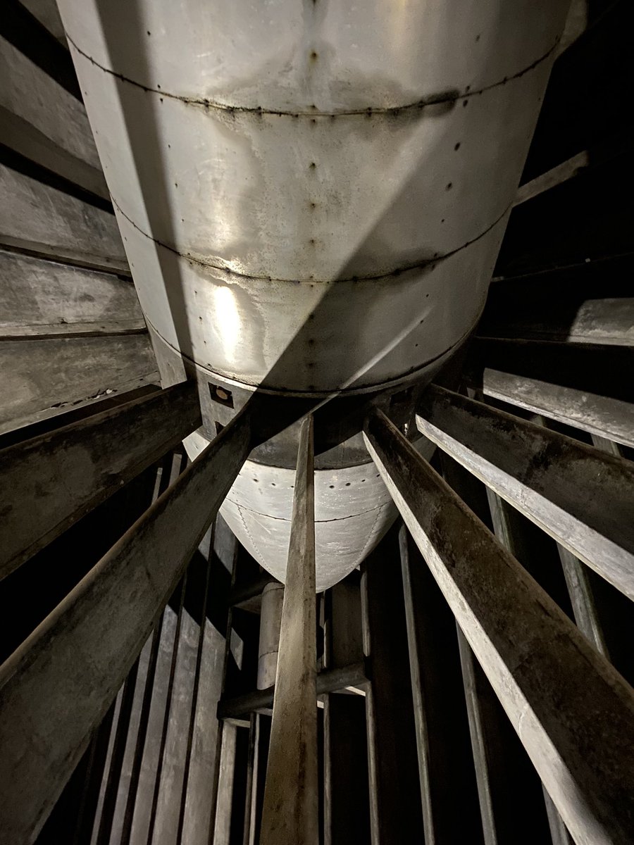 Stephen Bridgewater tweet media