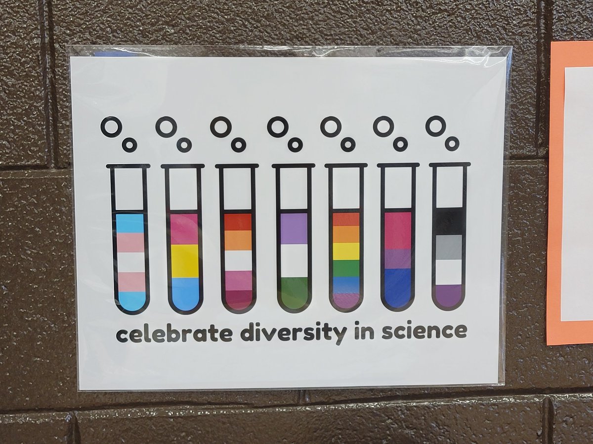 Molly Knott tweet media