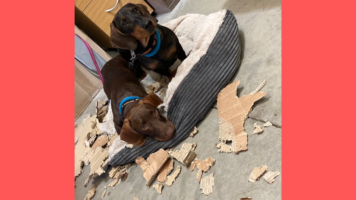 Delta Adhesives Ltd tweet media