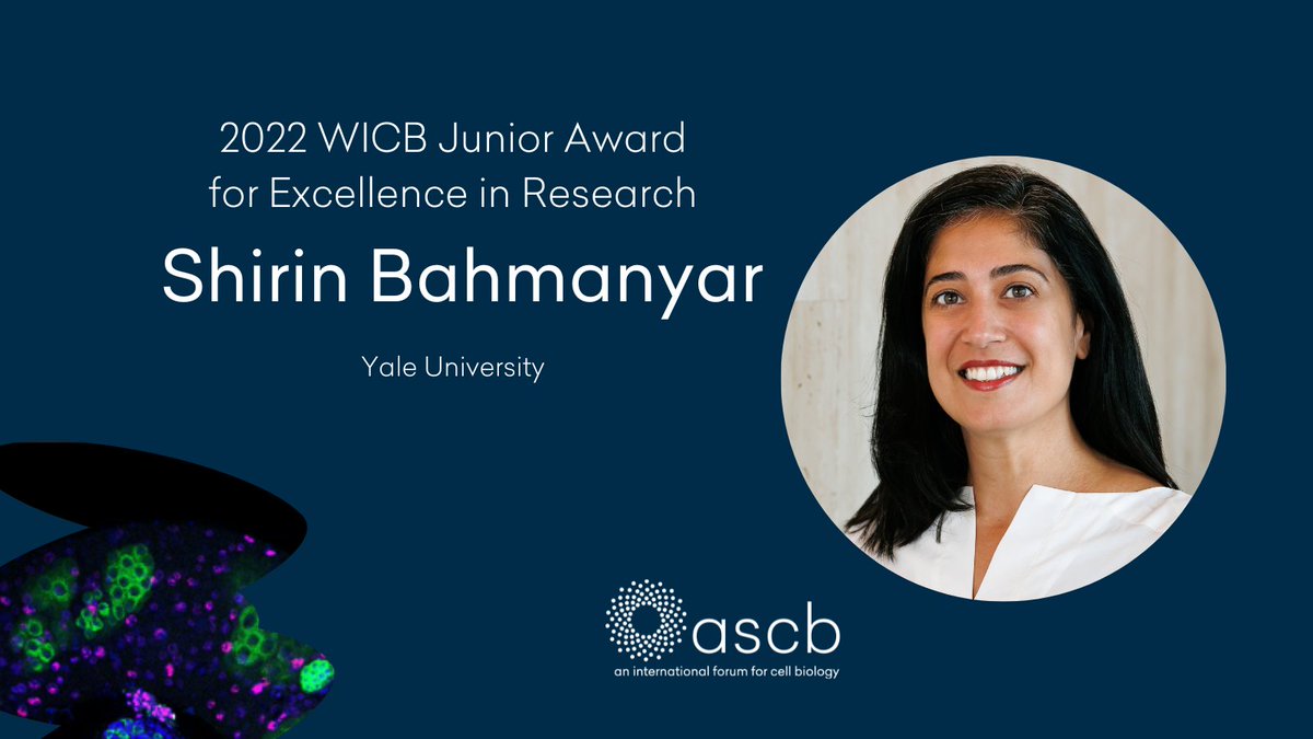 American Society for Cell Biology (@ascbiology) on Twitter photo Shirin Bahmanyar of <a href="/Yale/">Yale University</a> will receive the WICB Junior Award for Excellence in Research during #cellbio2022 in Washington, DC. Congratulations!
📚ascb.org/society-news/a… Shirin Bahmanyar of <a href="/Yale/">Yale University</a> will receive the WICB Junior Award for Excellence in Research during #cellbio2022 in Washington, DC. Congratulations!
📚ascb.org/society-news/a…