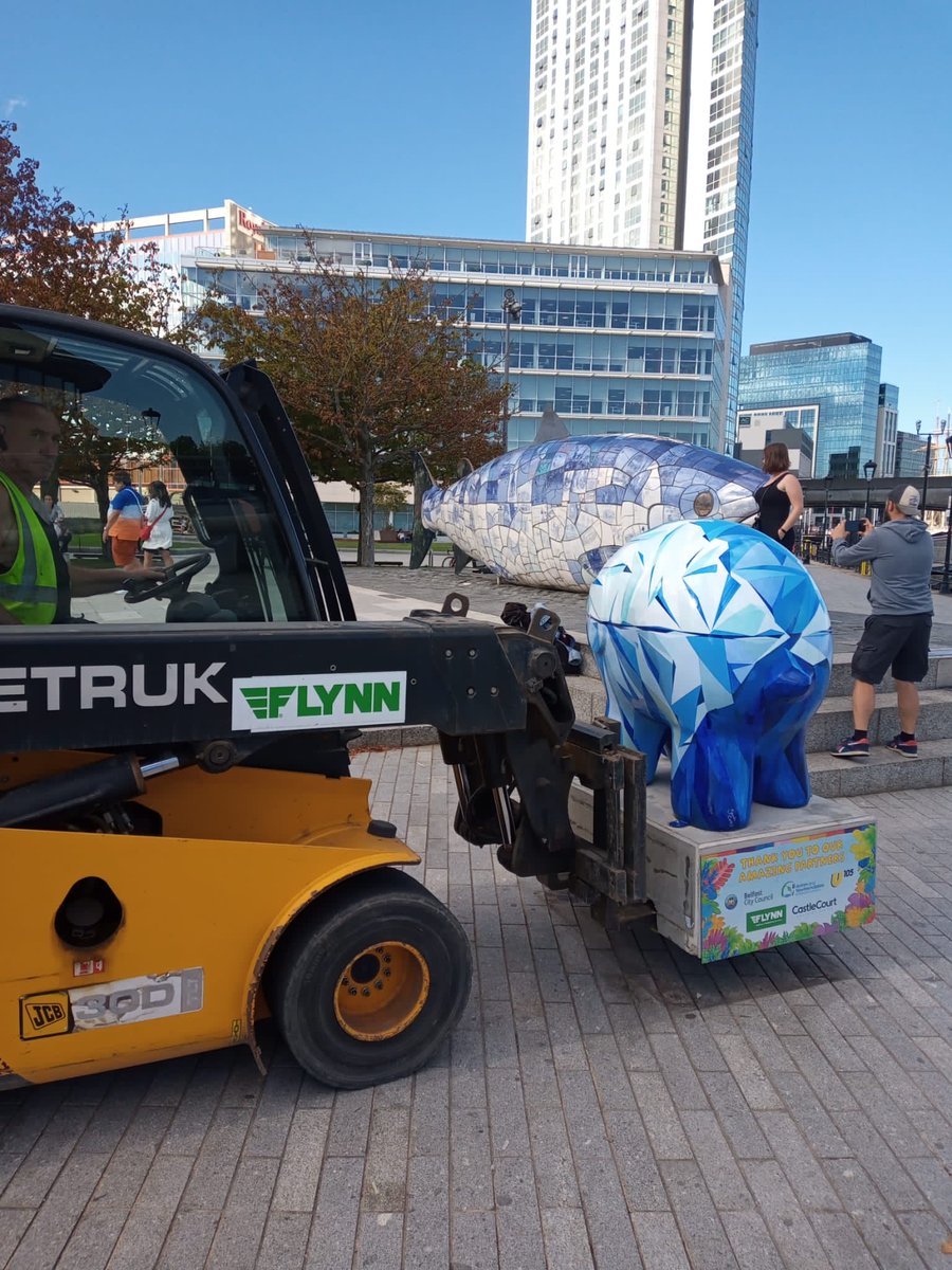 AidanFlynn11's tweet photo. Belfast’s Big Fish 🐟 says goodbye to his wee Elephant 🐘 pal for the last three months 🥲 ⁦@FLYNNbuilding⁩ ⁦@NIHospice⁩ ⁦@nichildrenshosp⁩ ⁦@ElmerBelfast⁩ ⁦@mulgrewhaulage⁩ https://t.co/uAGuA7zvUY