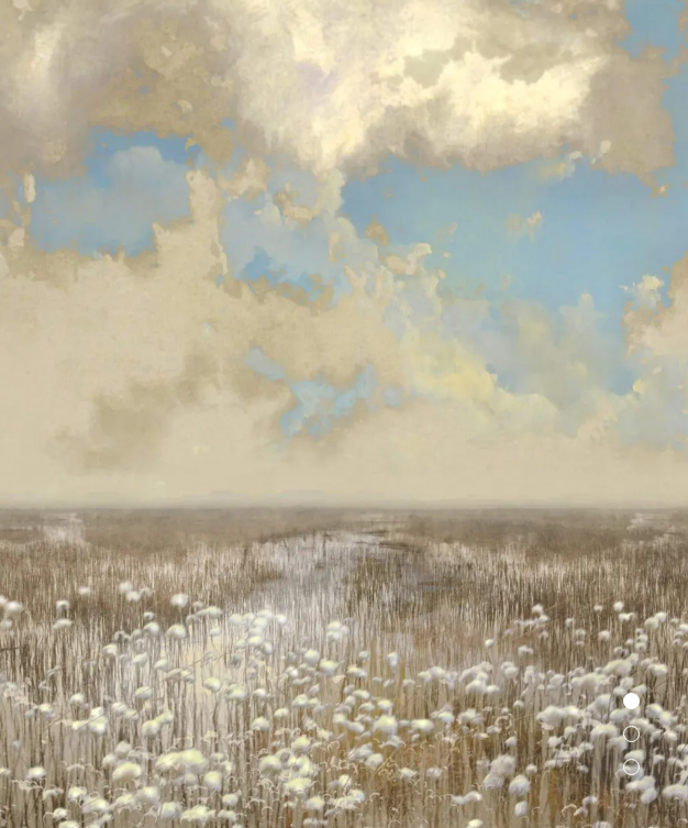 Fotografe <a href="/SaskiaBoelsums/">Saskia Boelsums</a> exposeert in <a href="/museumJAN/">Museum JAN</a> in haar geboorteplaats Amstelveen met 'Liefde voor Landschap': adembenemend mooie, soms haast vervreemdende foto's. Het lijkt alsof Boelsums schildert met haar camera: museum.nl/nl/museum-jan/…