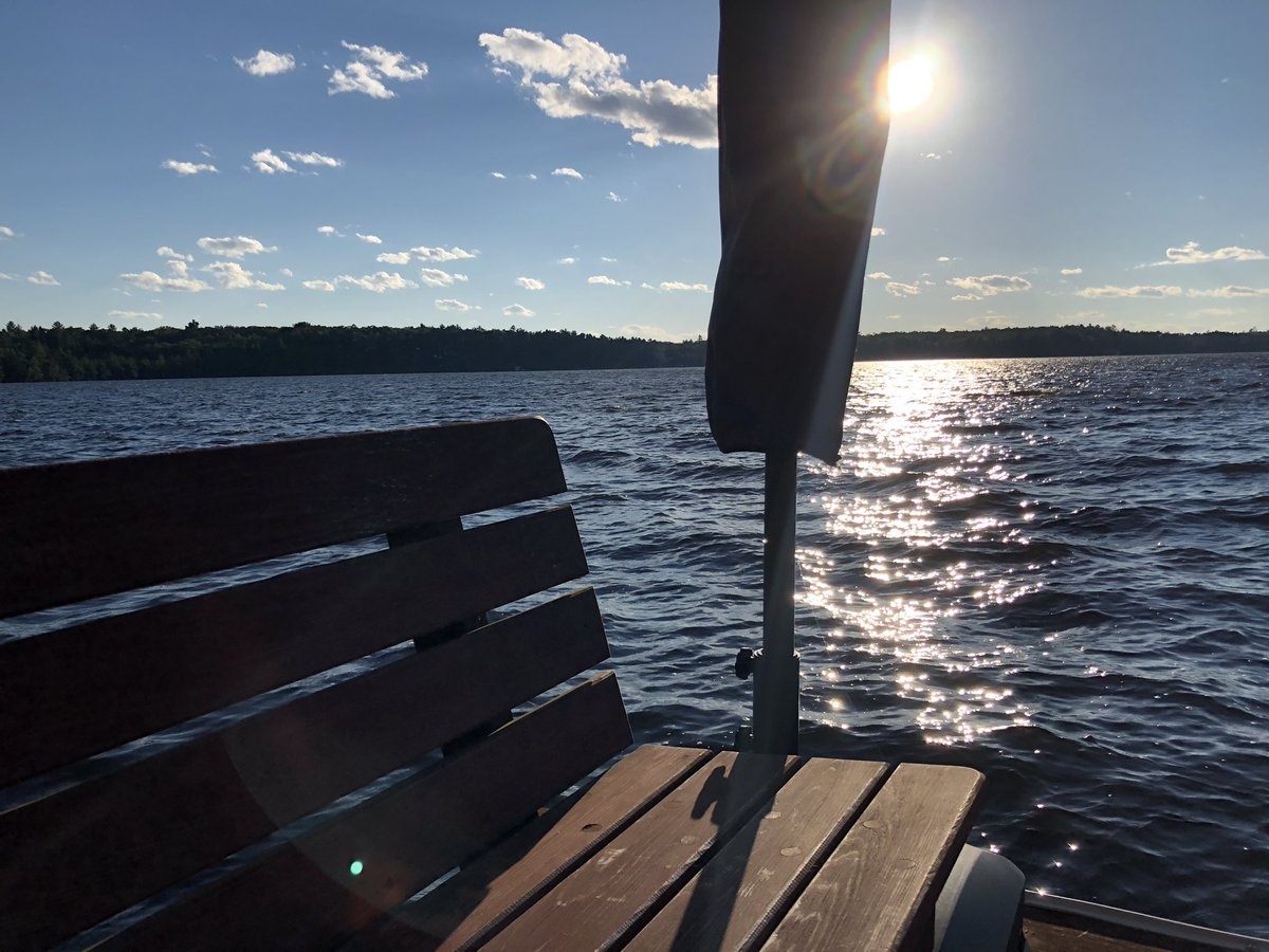 indigodye tweet media