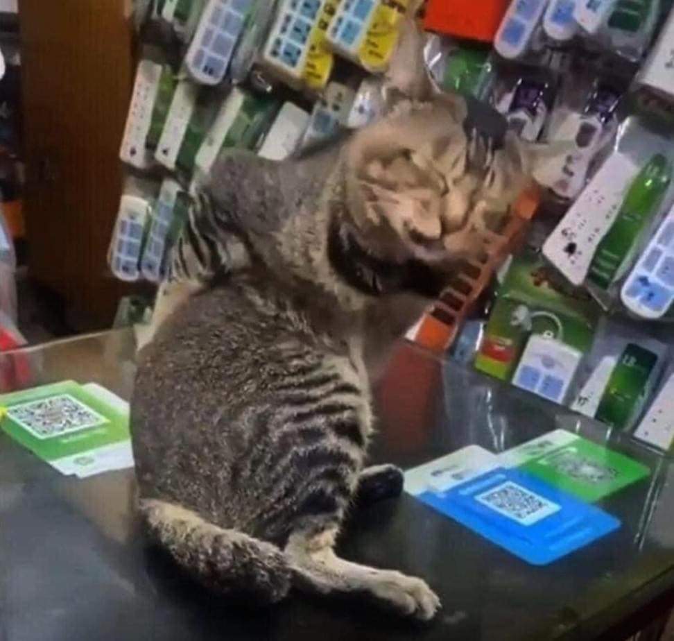 กิจวัตรประจำวัน=ปวดหลัง