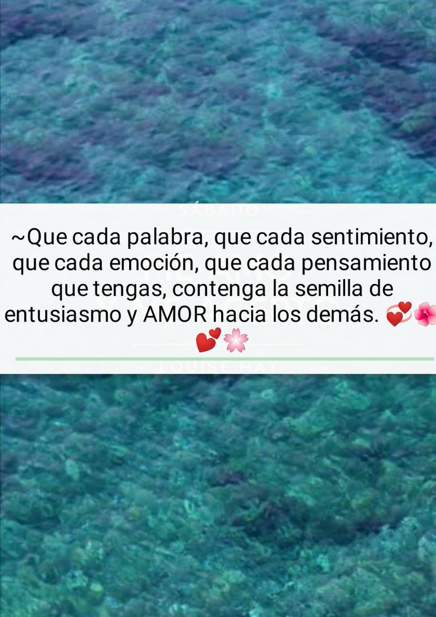 everistides9's tweet photo. "Al ayudar a otro desinteresadamente, nos ayudamos a nosotros mismos..." 💗🌺💕🏵️💞🌸 https://t.co/YWI72CriqZ