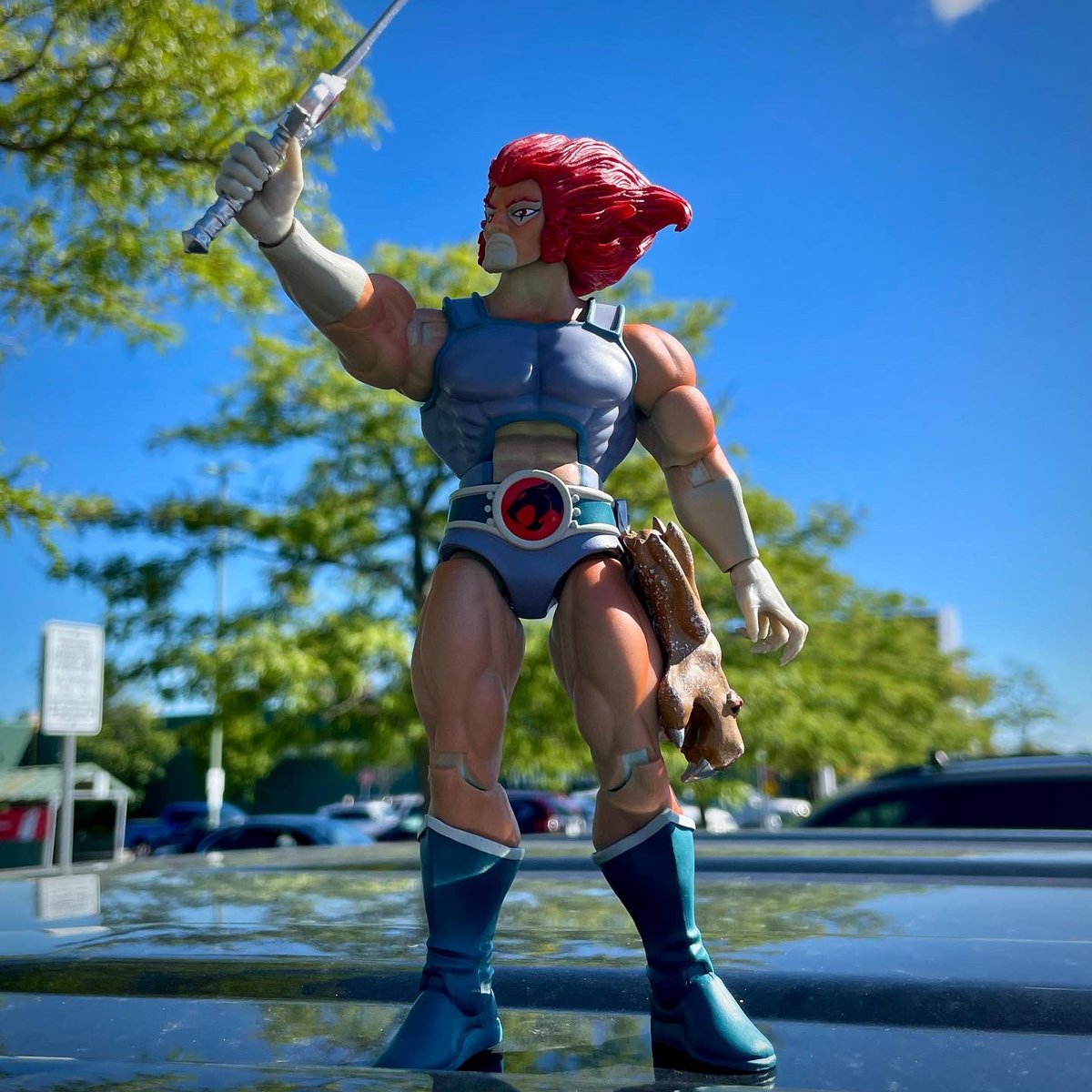 StryderWolfe's tweet photo. I took โHook Mountainโ Lion-O out in the sun and wow does he go from frozen blue to sunburnt red quick!! ๐๐๐ปโก๏ธโก๏ธโก๏ธ
#ThundercatsThursday
#Thundercats #toys #LionO #HookMountain #super7 #super7ultimates #80scartoons https://t.co/wddWx8yDyV