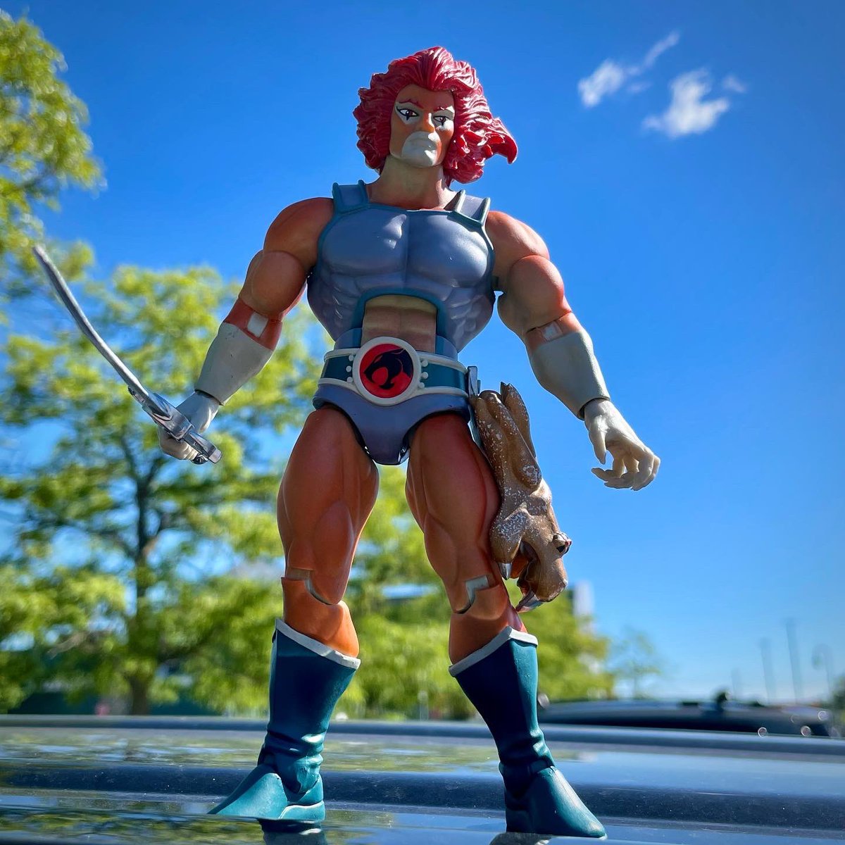 StryderWolfe's tweet photo. I took โHook Mountainโ Lion-O out in the sun and wow does he go from frozen blue to sunburnt red quick!! ๐๐๐ปโก๏ธโก๏ธโก๏ธ
#ThundercatsThursday
#Thundercats #toys #LionO #HookMountain #super7 #super7ultimates #80scartoons https://t.co/wddWx8yDyV